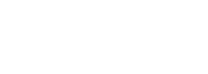 The Regulars